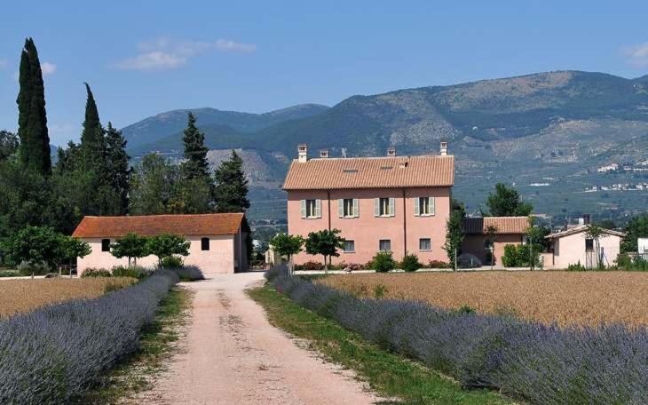 Country House Casco Dell'Acqua Треви Экстерьер фото