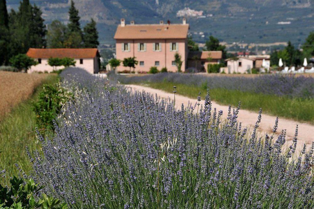 Country House Casco Dell'Acqua Треви Экстерьер фото
