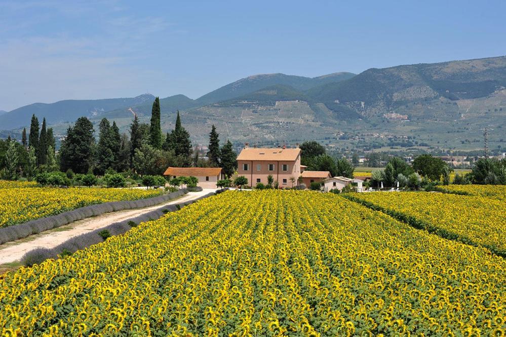 Country House Casco Dell'Acqua Треви Экстерьер фото